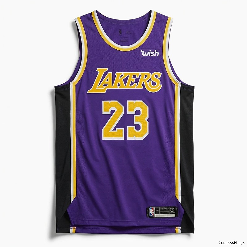 LBJ Lakers retro purple jersey