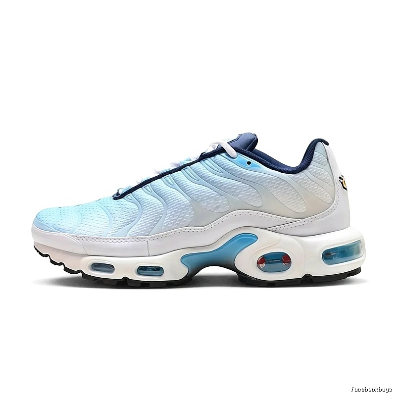 Nike Air Max 95 Retro Style Blue and White Shoes