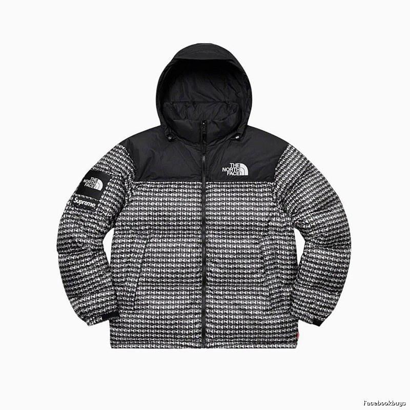 Pattern Logo The North Face Puffer Jacket for Photo Ready Looks