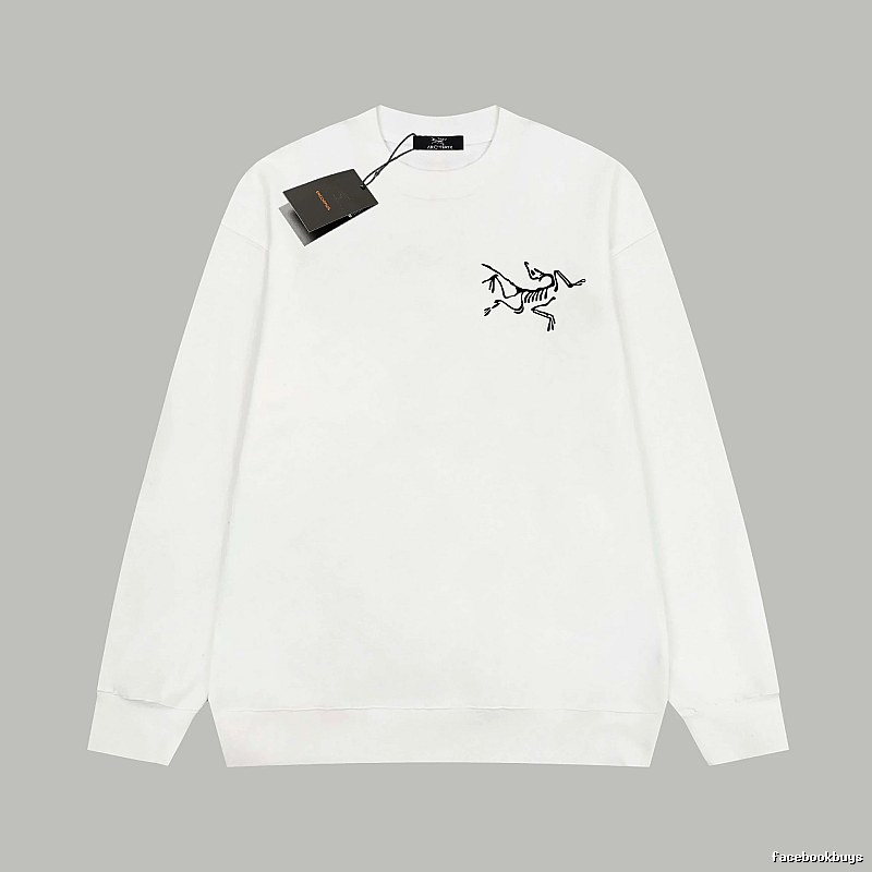 Photo Ready Arc'teryx Sweatshirt Layering Piece